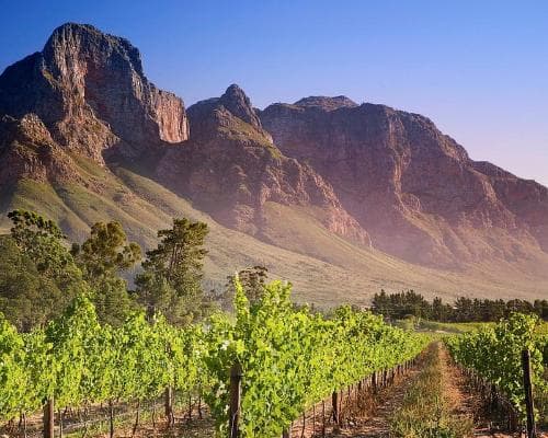 Obraz - Mietwagenrundreise "Kap Weinland und die Küste"