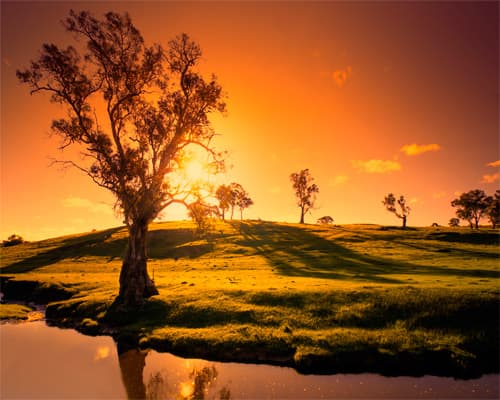 Image - AUSTRALIA AL COMPLETO CON ISLA CANGURO