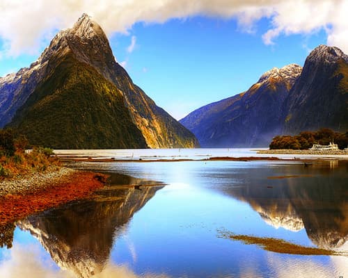 Imagen - NUEVA ZELANDA