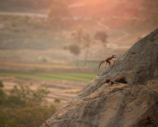 Bilde - Mietwagenrundreise: Kapstadt mit 4 Nationalparks