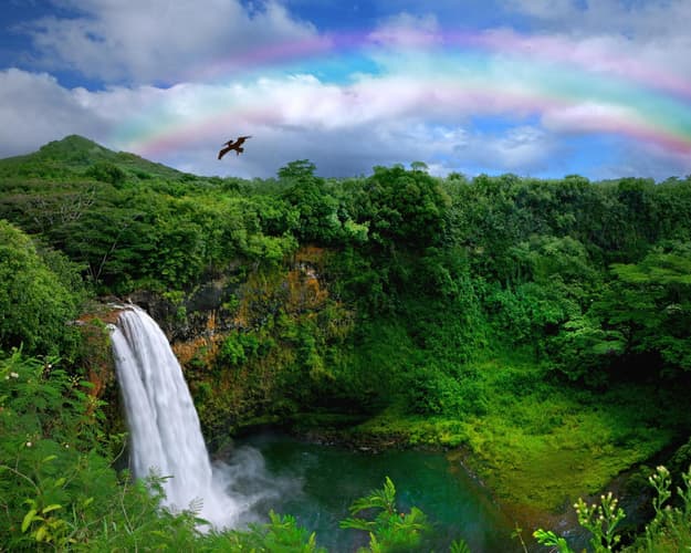 Imagem - Hawaii Island, United States Minor Outlying Islands - OCTUBR