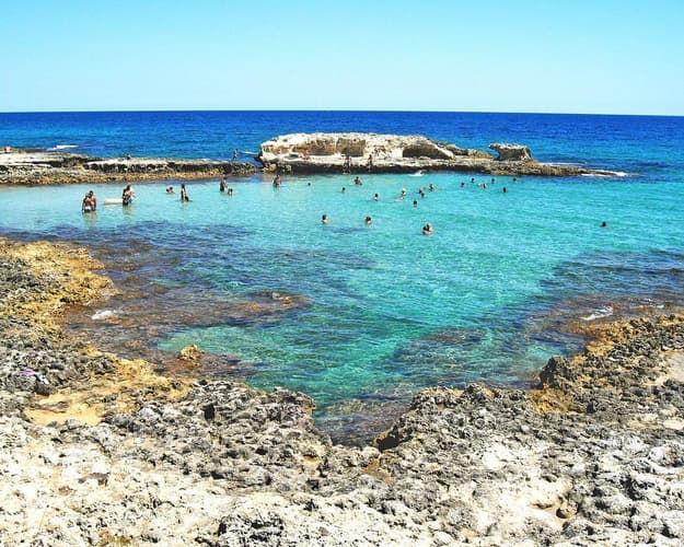 Immagine - Salento, Visita guidata ad un caseificio 