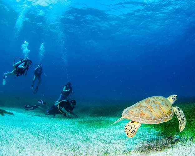 Imagen - Playa del Carmen Low Cost 20/02 - Verano 2026