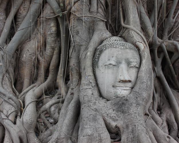 Obraz - Highlights around Bangkok