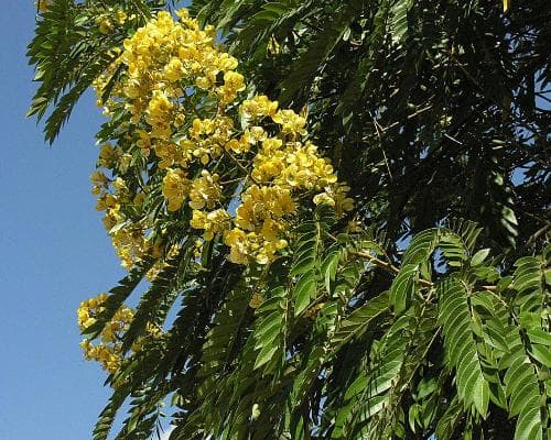 صورة - Blantyre, Malawi