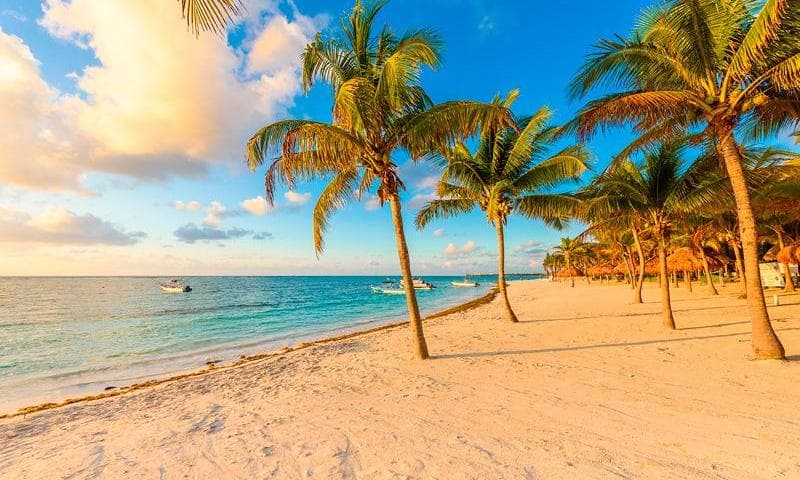 Image - Palmaïa - The House of AïA Wellness Enclave All Inclusive