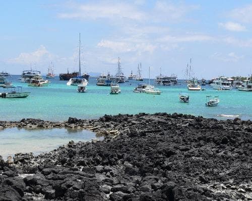 Imagen -  Santa Cruz & San Cristobal 5 dias