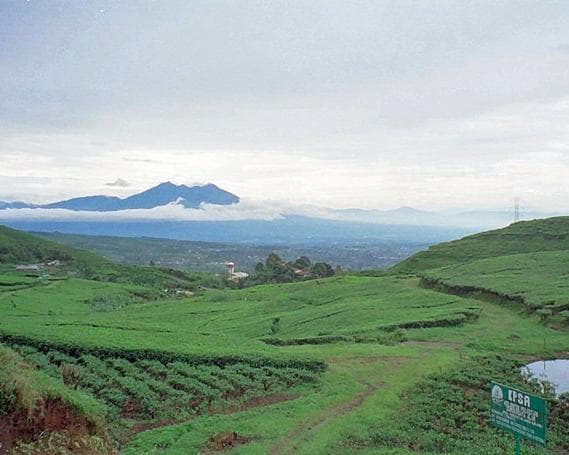 Slika -  Family Adventure in Indonesia