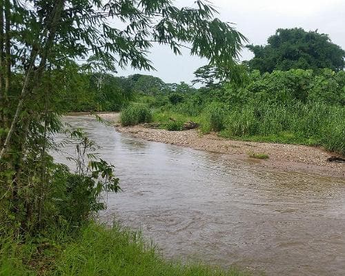 Immagine - Solo Oxapampa 03 Días/02 Noches