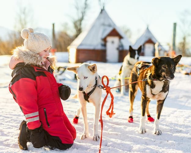 Imagem - Navidad en Laponia desde Madrid