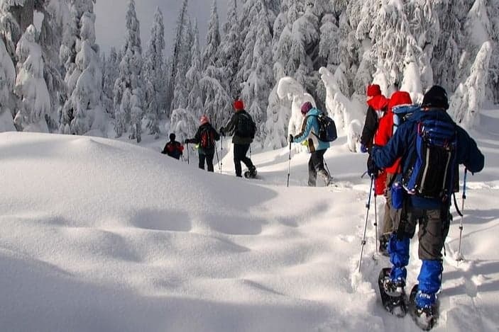 Imagen - Maravillas de Laponia, directo desde Madrid