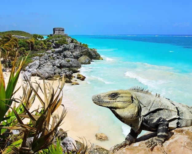 Image -   6 Nights. Mexico, Honduras Cruise on Rhapsody of the Seas