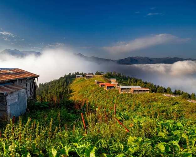 Obraz -   Discover Turkey - Trabzon, Uzungol & Rize