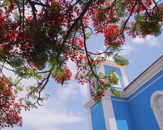 Imagem - Porto ✈ Ilha do Sal ✈ Dezembro