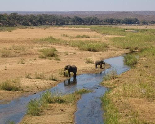 Obraz - Klasyka Republiki Południowej Afryki samochodem