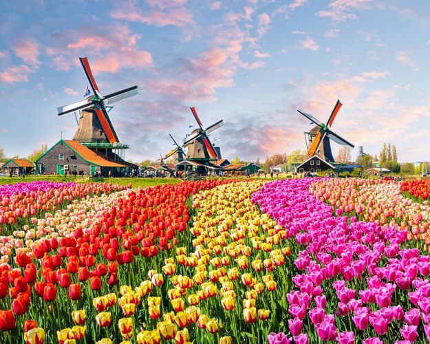 Bild - Discovering Amsterdam: Canals, History and Culture