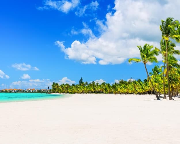 Image - Honeymoon in New York & Punta Cana