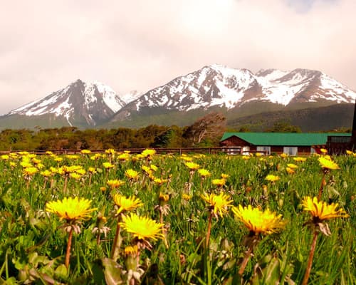 Imagen - Selva y Fin Del Mundo 