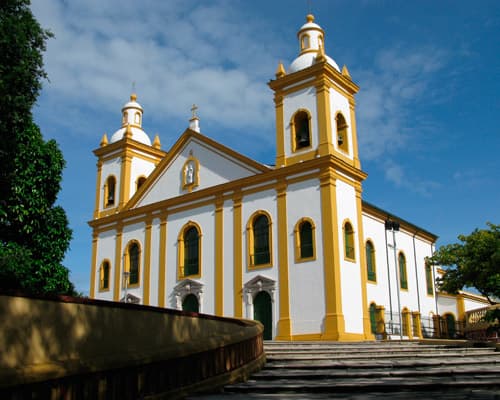 Imagen - Manaos & Selva