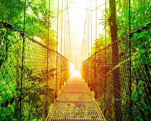 Imagen - 3 Esenciales Costa Rica