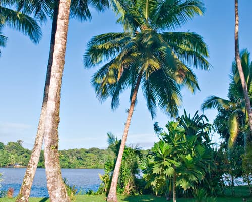 Image - Costa Rica Territorio de Perezosos