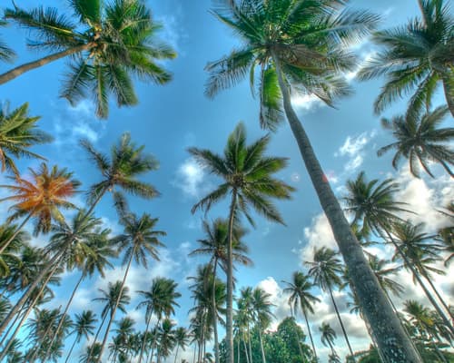 Bild - Mietwagenrundreise "Dominikanische Republik" (inkl. Flüge)