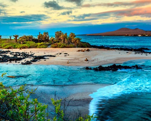 Image - Die Mitte der Erde und der Panamakanal - Ecuador, Galapagos Inseln, Panama