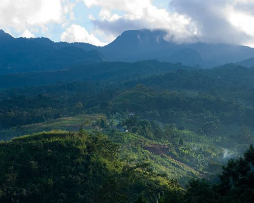 Imagen - Tarapoto Natural 05 Días - 04 Noches