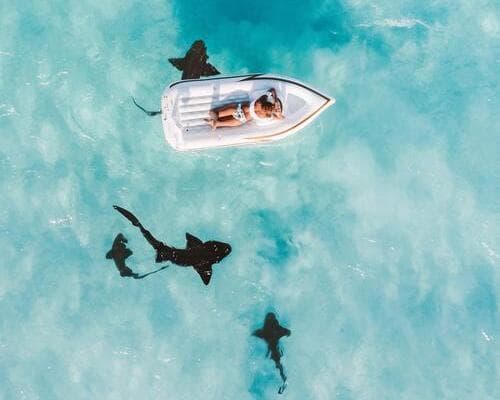 Imagem - Cruz. Royal Caribbean-Bahamas, Jamaica, Haiti-Janeiro 26