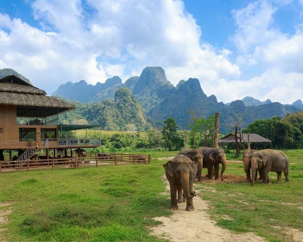 Bild - Phuket, "Elephant Hills Jungle Safari", Koh Samui & Koh Phan