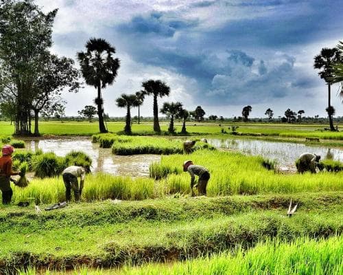 Image - Siem Reap, Baden Sihanoukville & Phnom Penh