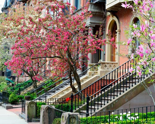 Imagem - Combinado Nueva York y Boston