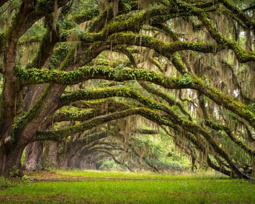 Kép - Die Südstaaten der USA mit dem Mietwagen erkunden