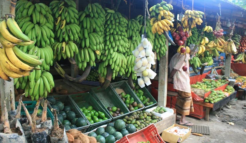 Kép - Privatrundreise "Die Klassiker Sri Lankas"