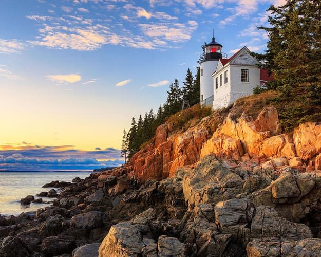 Immagine -  FARI & BALENE DELL'EST