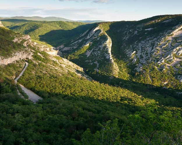 Image - The natural treasures of Friuli: Excursion to the Karst