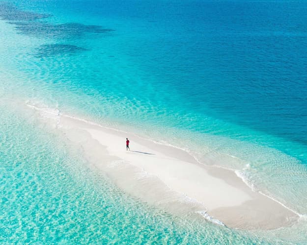 Imagen - ROMANCE Y AVENTURA TROPICAL: EN ZANZÍBAR