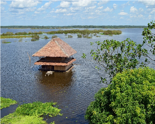 Imagen - Iquitos + Equipaje "30dic al 02ene"