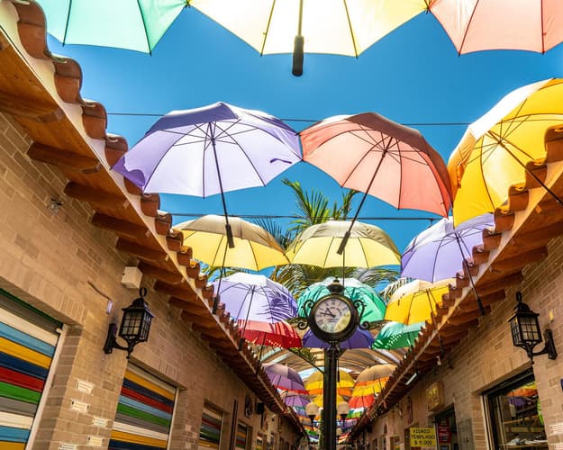 Imagen - Medellín y El Carmen de Viboral