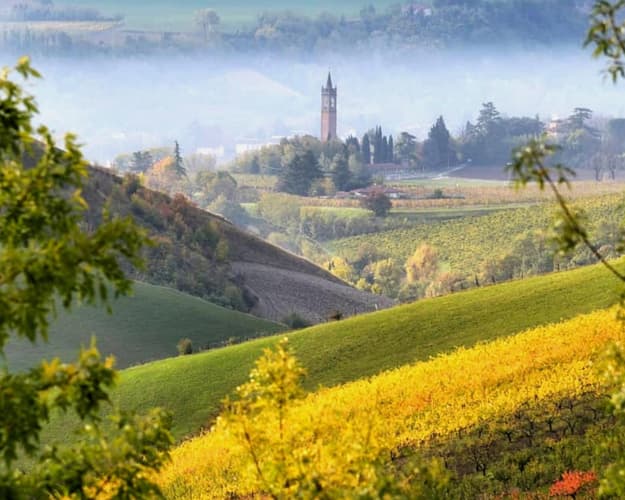 Image - All the flavours of the Food Valley