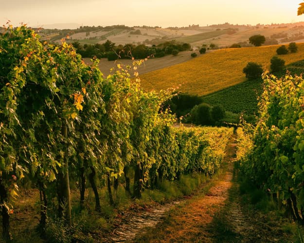 Image - The villages of the Marche between history and taste