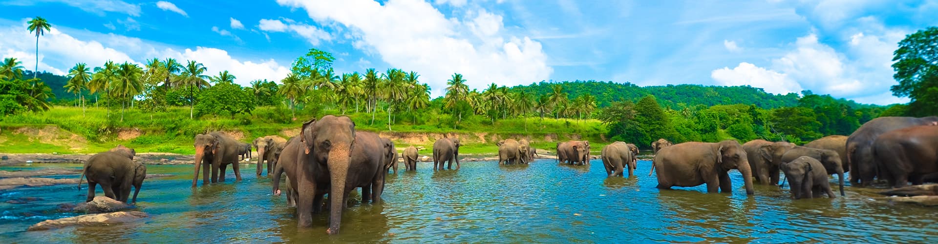 Immagine - Sri Lanka Family Holiday