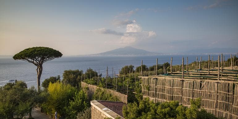 Imagem - Local Living Italy—Sorrento
