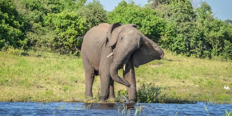 Imagem - Botswana & Victoria Falls Adventure