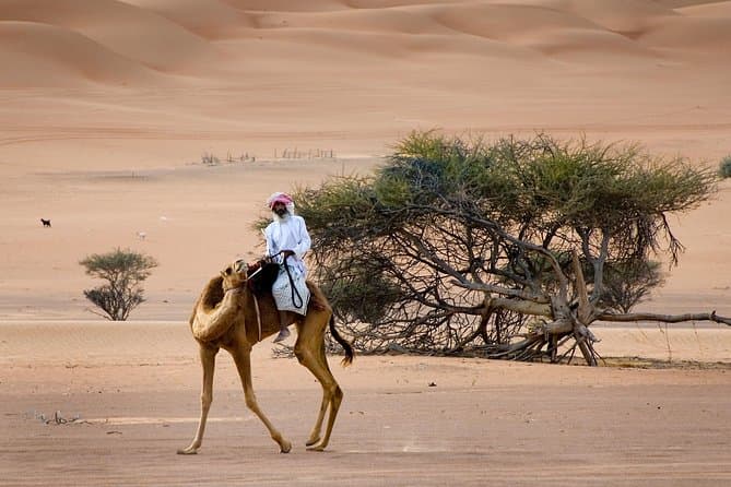 Kép - Oman - Wüstenparadies am Persischen Golf