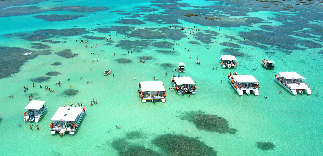 Image - Maceió | Maragogi