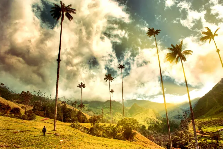 Resim - Colombia Classica