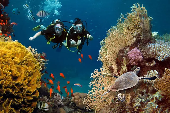 Imagine -  Diving in Phuket, Thailanda - noiembrie 