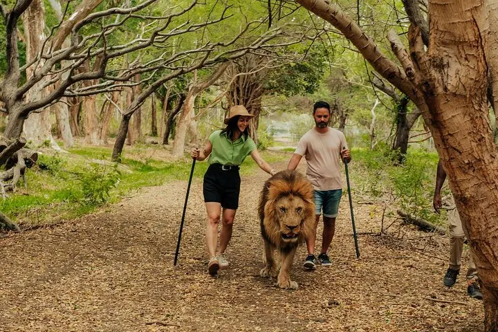 Imagine - Descopera cu Familia : Sejur Mauritius  - mai 2026