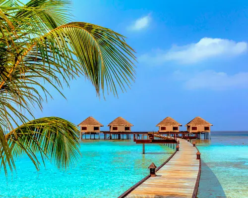 Immagine - Maldives